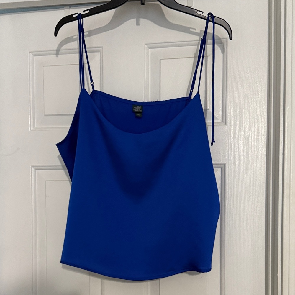 Wild Fable Royal Blue Camisole